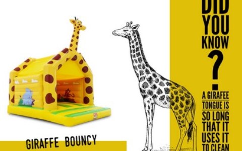 giraffe bouncy cash castle